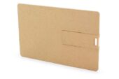 Eco Friendly Business Card Drive