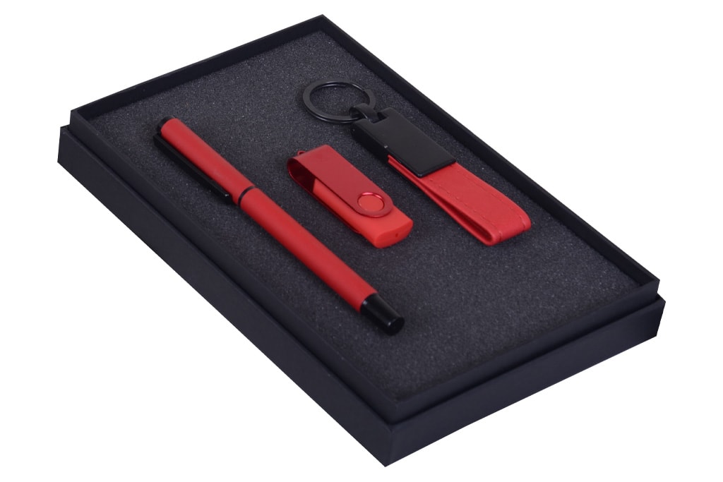 Usb Stick, Keychain & Pen Gift Set
