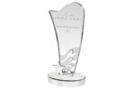 Crystal Award