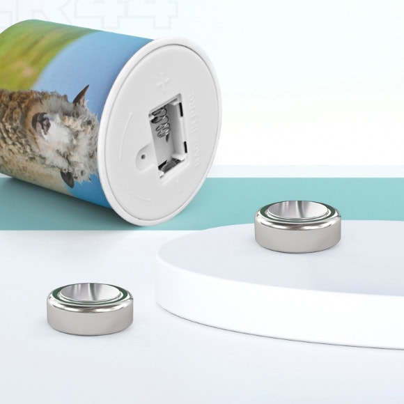 Replaceable Batteries