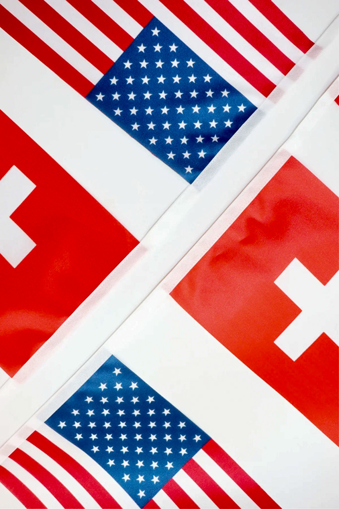 Pennant Flag Bunting Banner