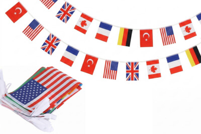 Pennant Flag Bunting Banner